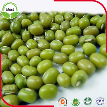 2016 Nueva cosecha orgánica Green Mung Beans